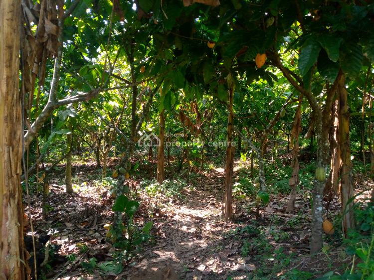 Farm Land, Akuapim North, Eastern Region, Commercial Land for Sale