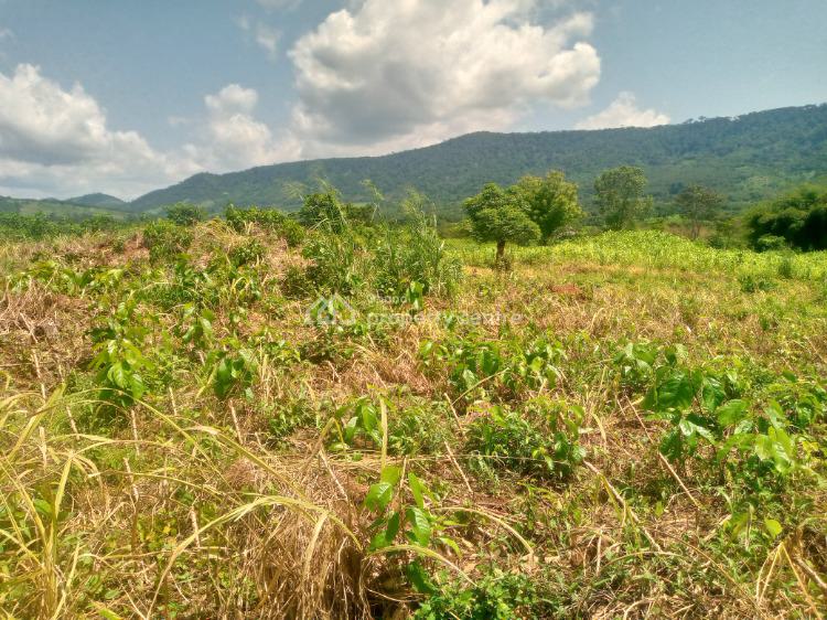Farm Land, Akuapim North, Eastern Region, Commercial Land for Sale