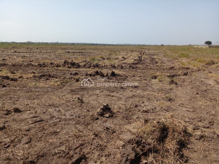 Perfectly Demarcated Land Reduced for Purchase, Central University, Dawhenya, Tema, Accra, Residential Land for Sale