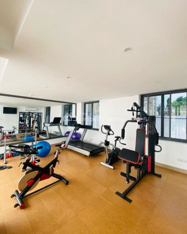 Executives Furnished 2 Bedroom Apartment at Cantonments, Cantonments, Accra, Apartment for Rent