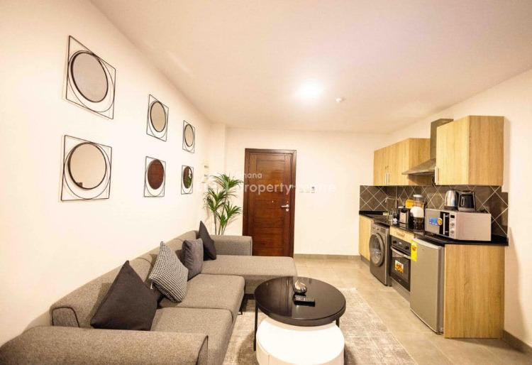Executive 1 Bedroom Apartment Fully Furnished at East Legon Oasis Park, East Legon, Accra, Apartment for Rent