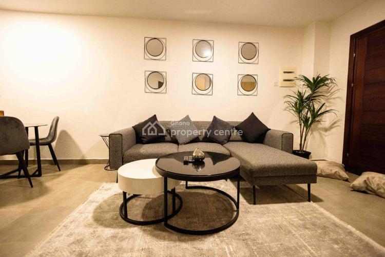 Executive 1 Bedroom Apartment Fully Furnished at East Legon Oasis Park, East Legon, Accra, Apartment for Rent