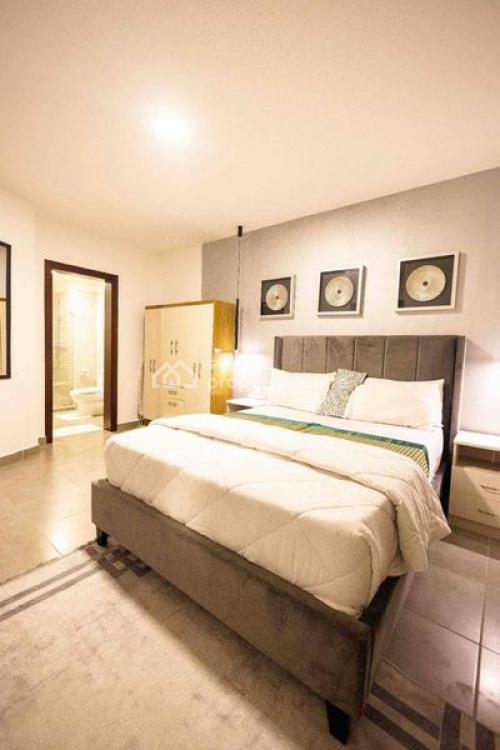 Executive 1 Bedroom Apartment Fully Furnished at East Legon Oasis Park, East Legon, Accra, Apartment for Rent