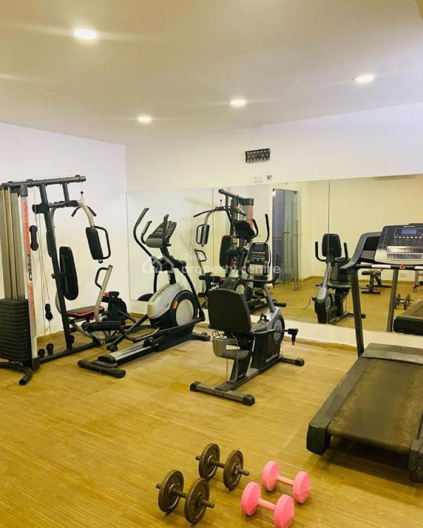Executive 3 Bedroom Apartment at Cantonments, Cantonments, Accra, Apartment for Rent
