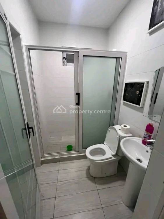 Executive Fully Furnished 2 Bedroom Apartments at Dzorwulu, Dzorwulu, Accra, Apartment for Rent