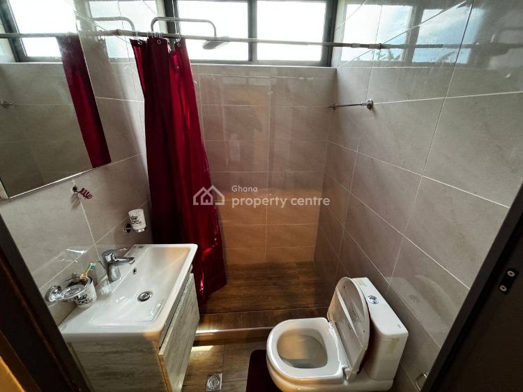 Executive Fully Furnished 5 Bedrooms House with Pool at Cantonments, Cantonments, Accra, House for Rent