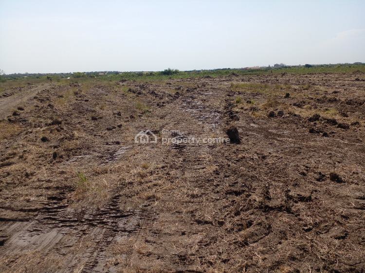 Less Priced Serviced Estate Land, Central University, Dawhenya, Tema, Accra, Mixed-use Land for Sale
