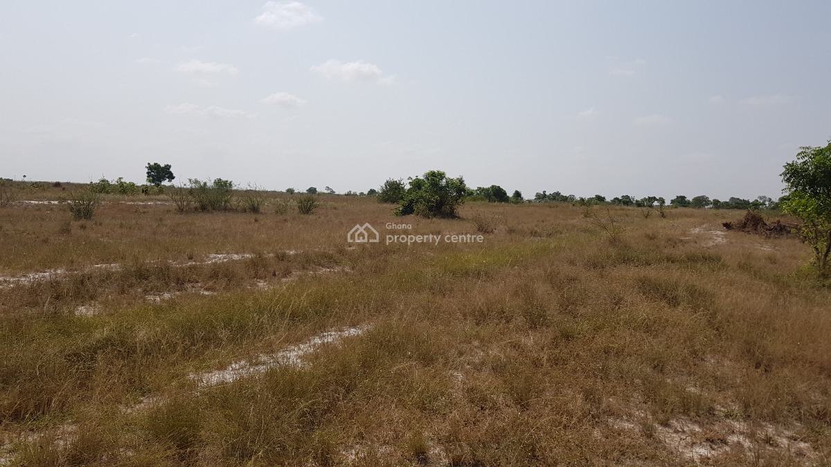 Fast Advancing Area Half Plots - Tsopoli Buerko, Buerko / Police Barrier, Tsopoli, Ningo Prampram District, Accra, Mixed-use Land for Sale