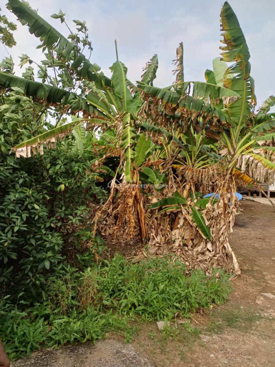 Half Plot of Land @ Achimota, Achimota, Accra, Land for Sale