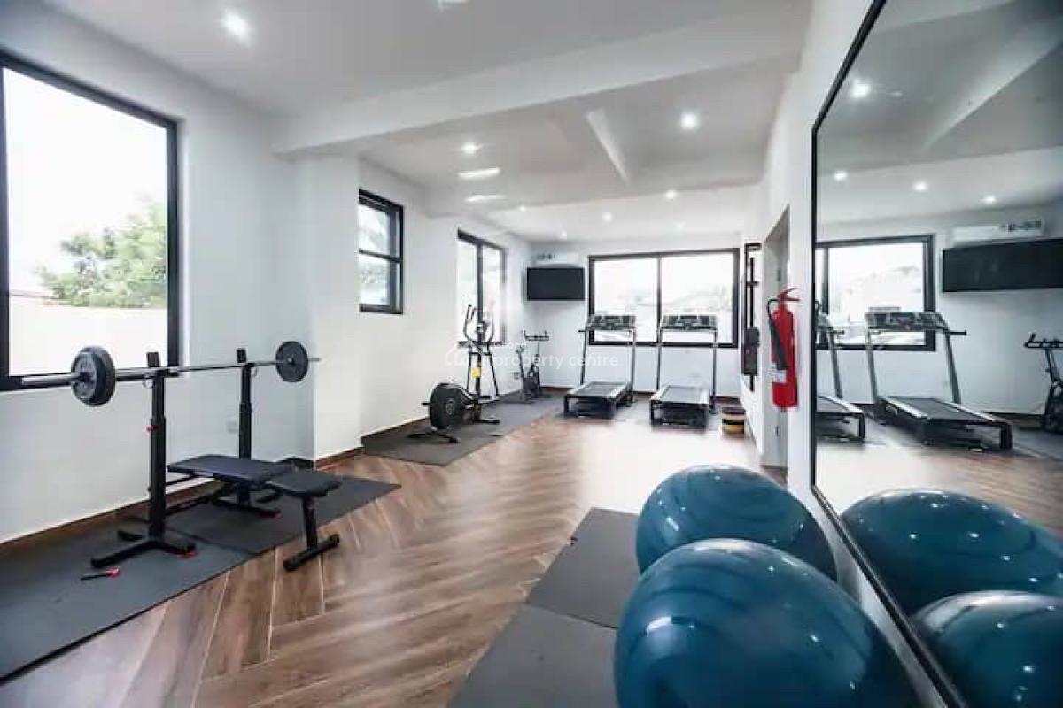 Furnished 2 Bedroom Apartment with Gym and Cafe, East Airport, Airport Residential Area, Accra, Apartment for Rent