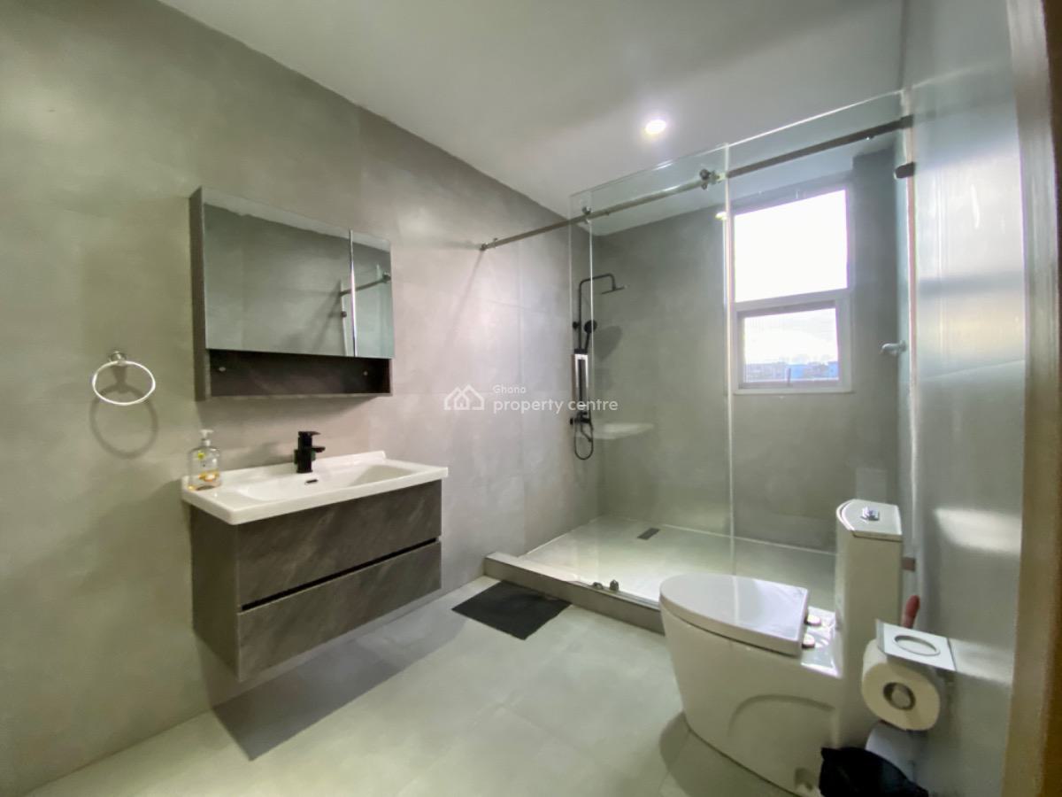 Furnished 2 Bedroom Apartment with Swimming Pool and Gym, Osu, Accra, Apartment for Rent