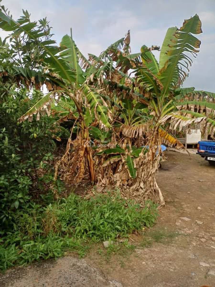 Half Plots 100/40 of Land, Achimota, Accra, Land for Sale