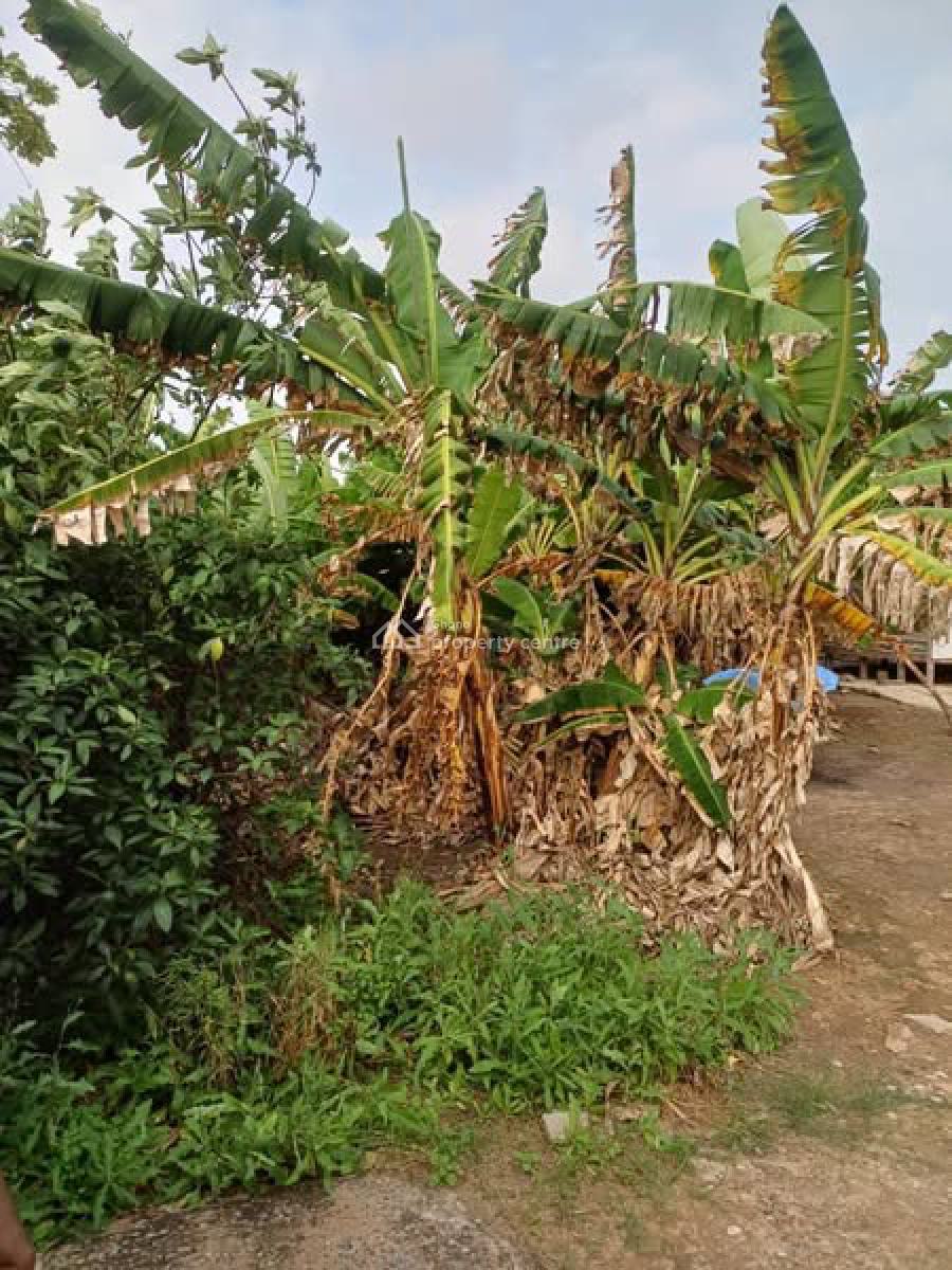 Half Plots 100/40 of Land, Achimota, Accra, Land for Sale