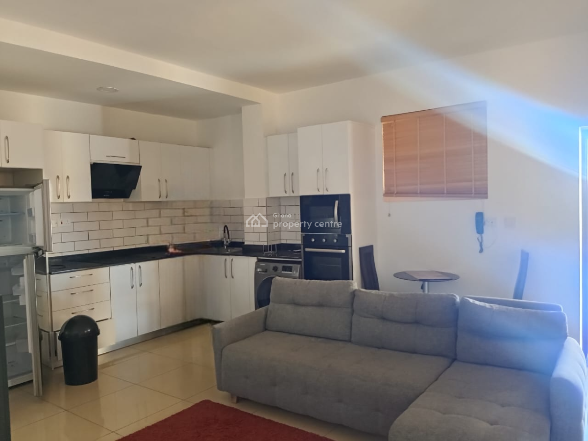 Furnished One Bedroom Apartment with Rooftop Terrace, Osu, Accra, Mini Flat for Rent