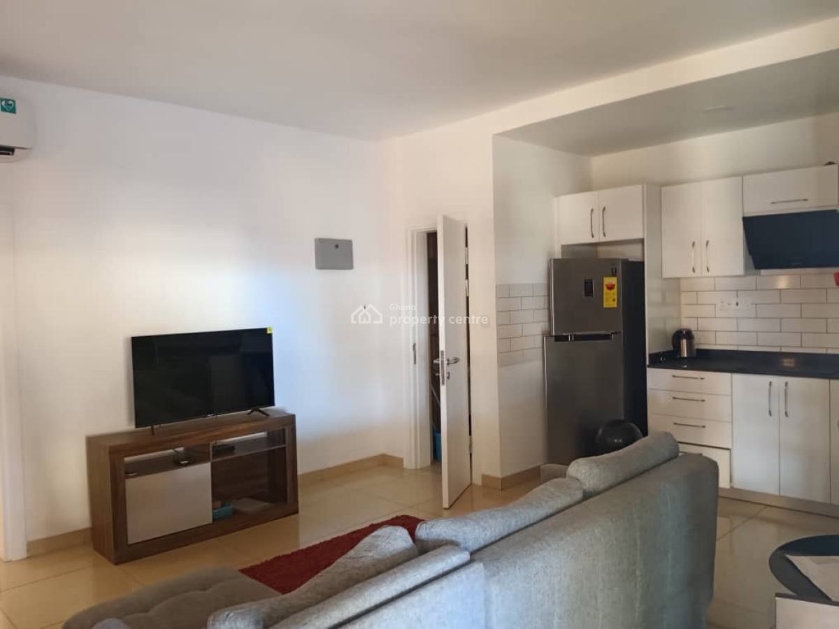 Furnished One Bedroom Apartment with Rooftop Terrace, Osu, Accra, Mini Flat for Rent