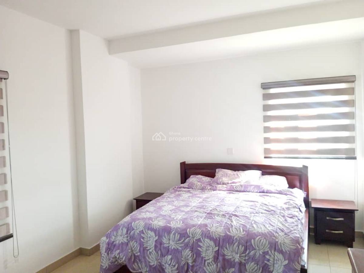 Furnished One Bedroom Apartment with Rooftop Terrace, Osu, Accra, Mini Flat for Rent