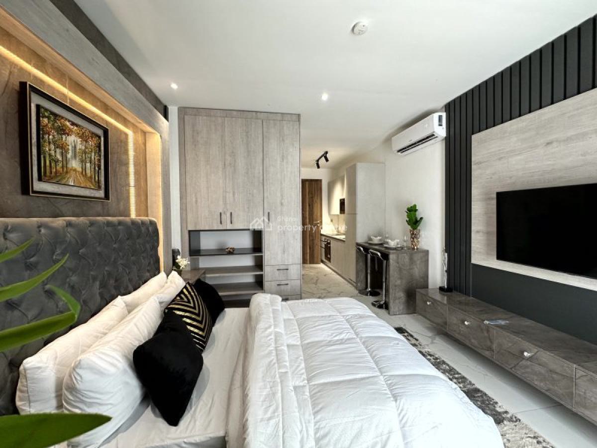 Fully Furnished Studio with Swimming Pool and Gym, Cantonments, Accra, Single Room Self Contained for Rent