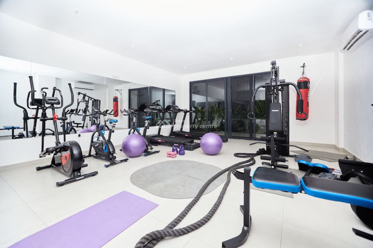Fully Furnished Studio with Swimming Pool and Gym, Cantonments, Accra, Single Room Self Contained for Rent