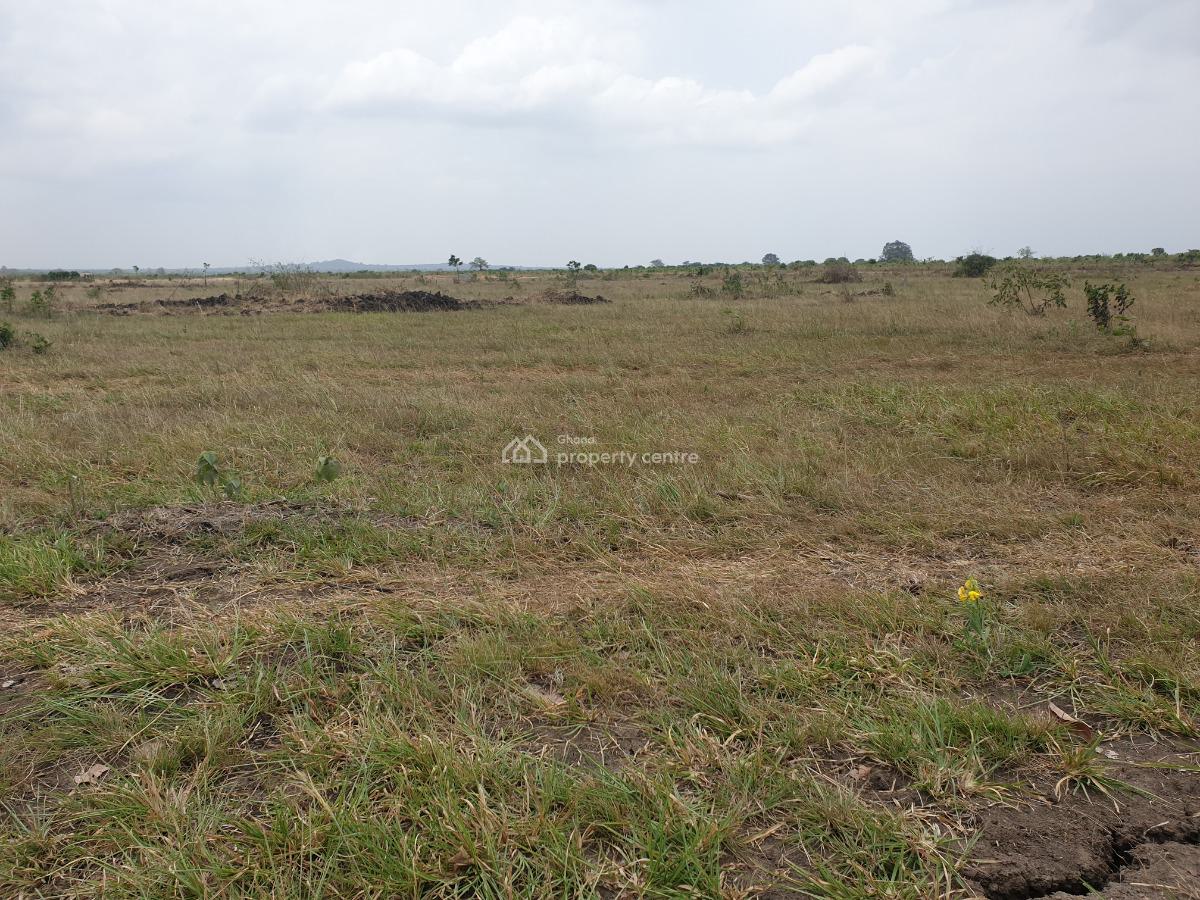 Peaceful, Serviced Plot in Growing Tsopoli Area, Tsopoli Junction, Tsopoli, Ningo Prampram District, Accra, Mixed-use Land for Sale