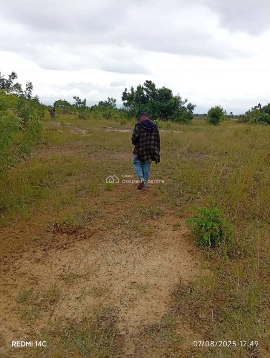 New Land Plots Available -- Asutsuare Loum Junction, Asutsuare Loum Junction, Shai Osudoku, Accra, Land for Sale