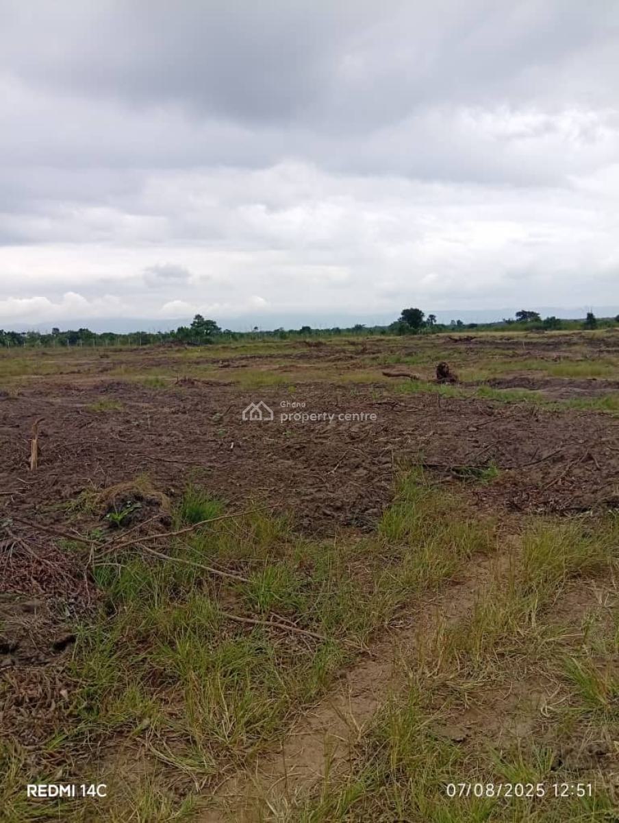 New Land Plots Available -- Asutsuare Loum Junction, Asutsuare Loum Junction, Shai Osudoku, Accra, Land for Sale