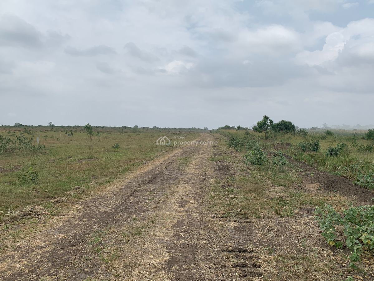 Eco-friendly Living in Tsopoli: Spacious Plot with Road Access, Buerko, Tsopoli, Ningo Prampram District, Accra, Mixed-use Land for Sale