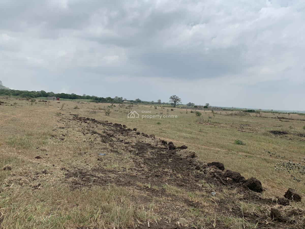 Grow Roots in Tsopoli: Peaceful Land Near Affordable Housing, Buerko, Tsopoli, Ningo Prampram District, Accra, Mixed-use Land for Sale