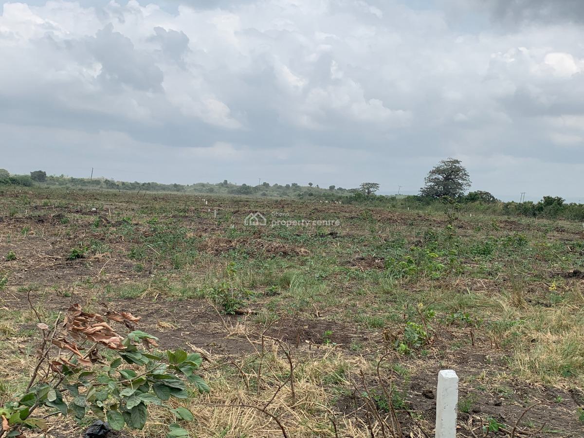 Build Your Future in Tsopoli---cleared, Demarcated & Fully Serviced, Buerko, Tsopoli, Ningo Prampram District, Accra, Mixed-use Land for Sale
