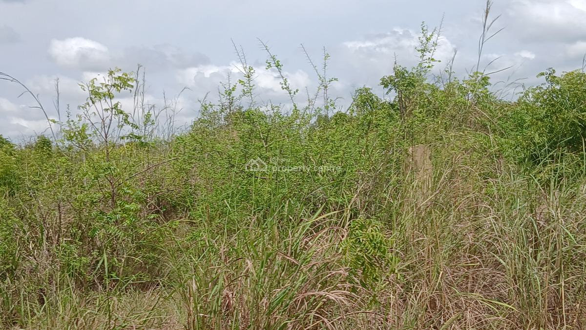 Choose a Prime Plot on Discount, City of David-beach Lane, Ningo Prampram District, Accra, Residential Land for Sale