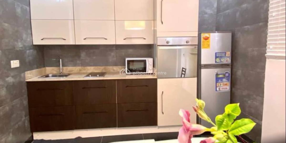 Osu 1 Bedroom Furnished, Oxfords Street, Osu, Accra, Apartment for Rent