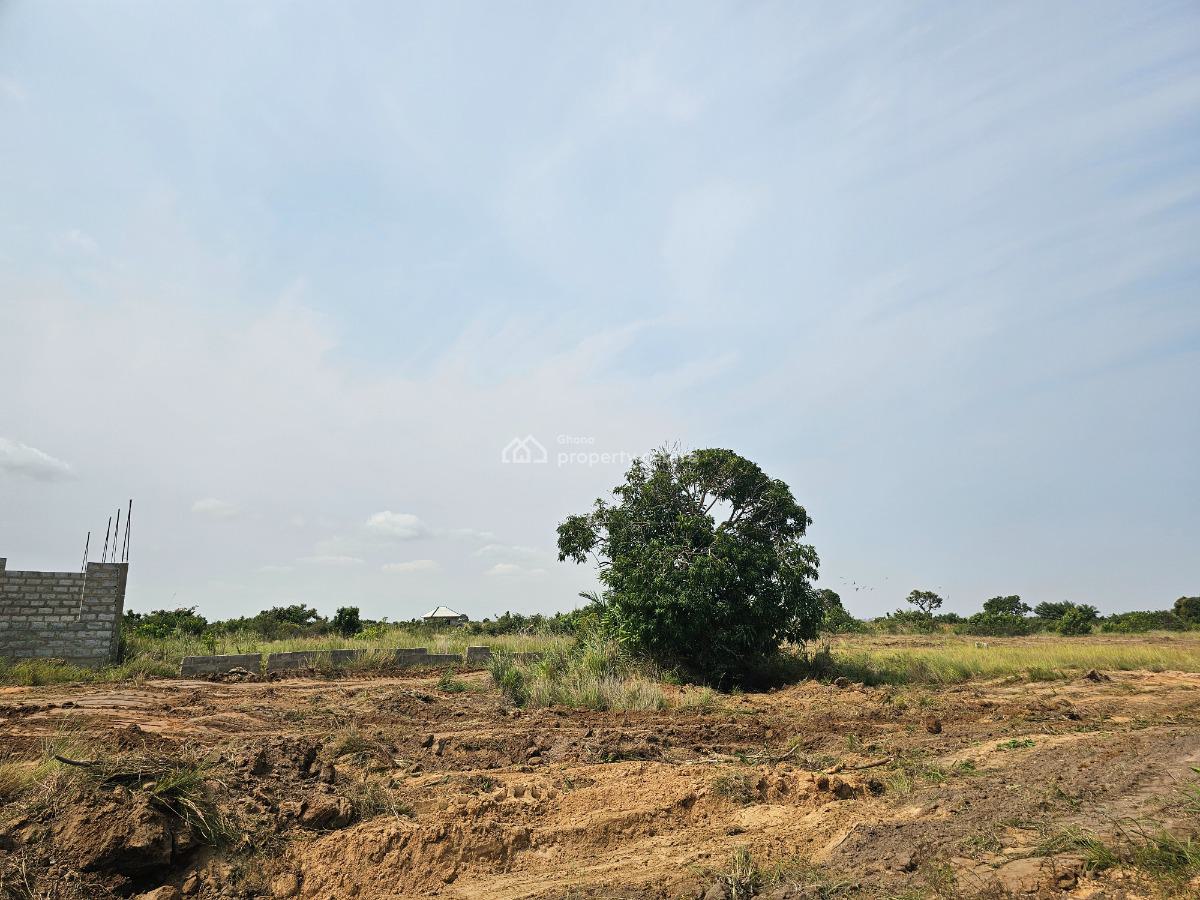 Make a Quick Call, Own a Genuine Plot, Solomons Court, Ningo Prampram District, Accra, Residential Land for Sale