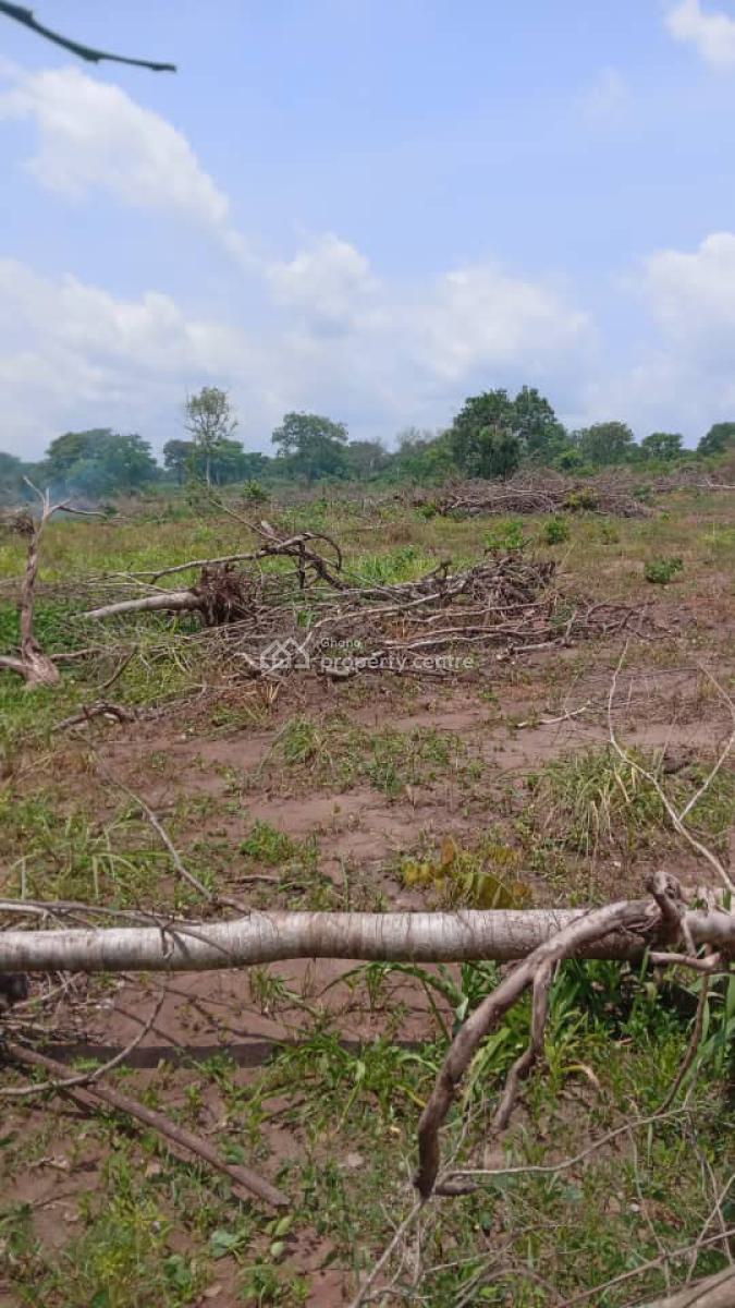 Affordable Land in Koforidua, Koforidua, Eastern Region, Mixed-use Land for Sale