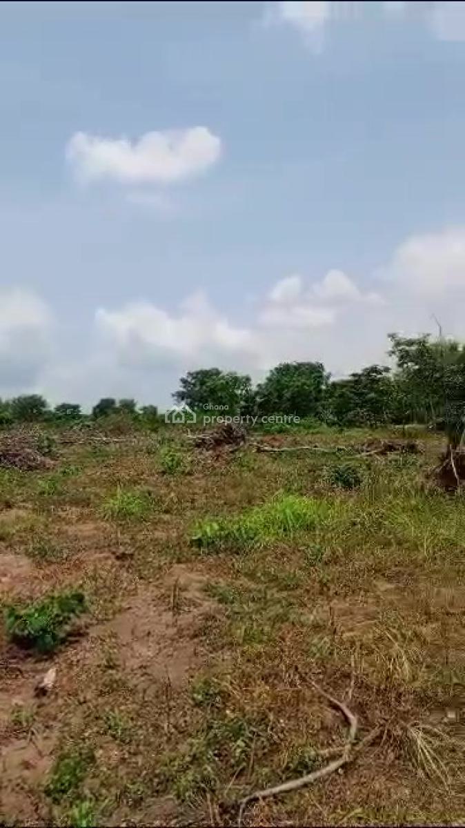 Affordable Land in Koforidua, Koforidua, Eastern Region, Mixed-use Land for Sale