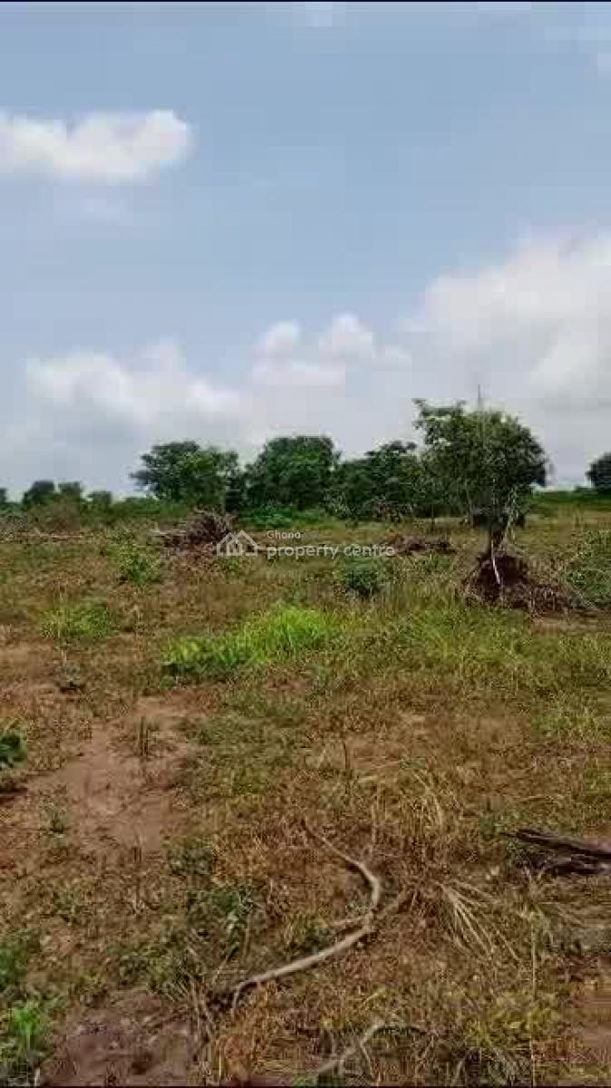 Affordable Land in Koforidua, Koforidua, Eastern Region, Mixed-use Land for Sale