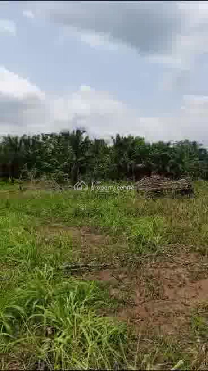 Affordable Land in Koforidua, Koforidua, Eastern Region, Mixed-use Land for Sale