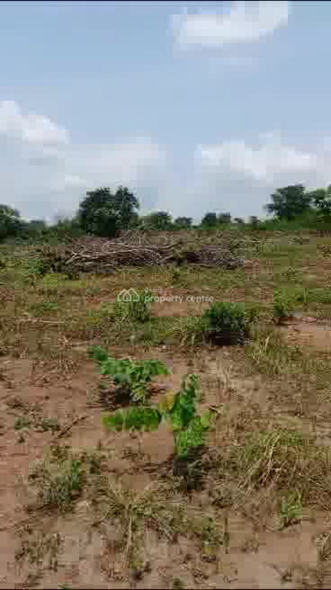 Affordable Land in Koforidua, Koforidua, Eastern Region, Mixed-use Land for Sale