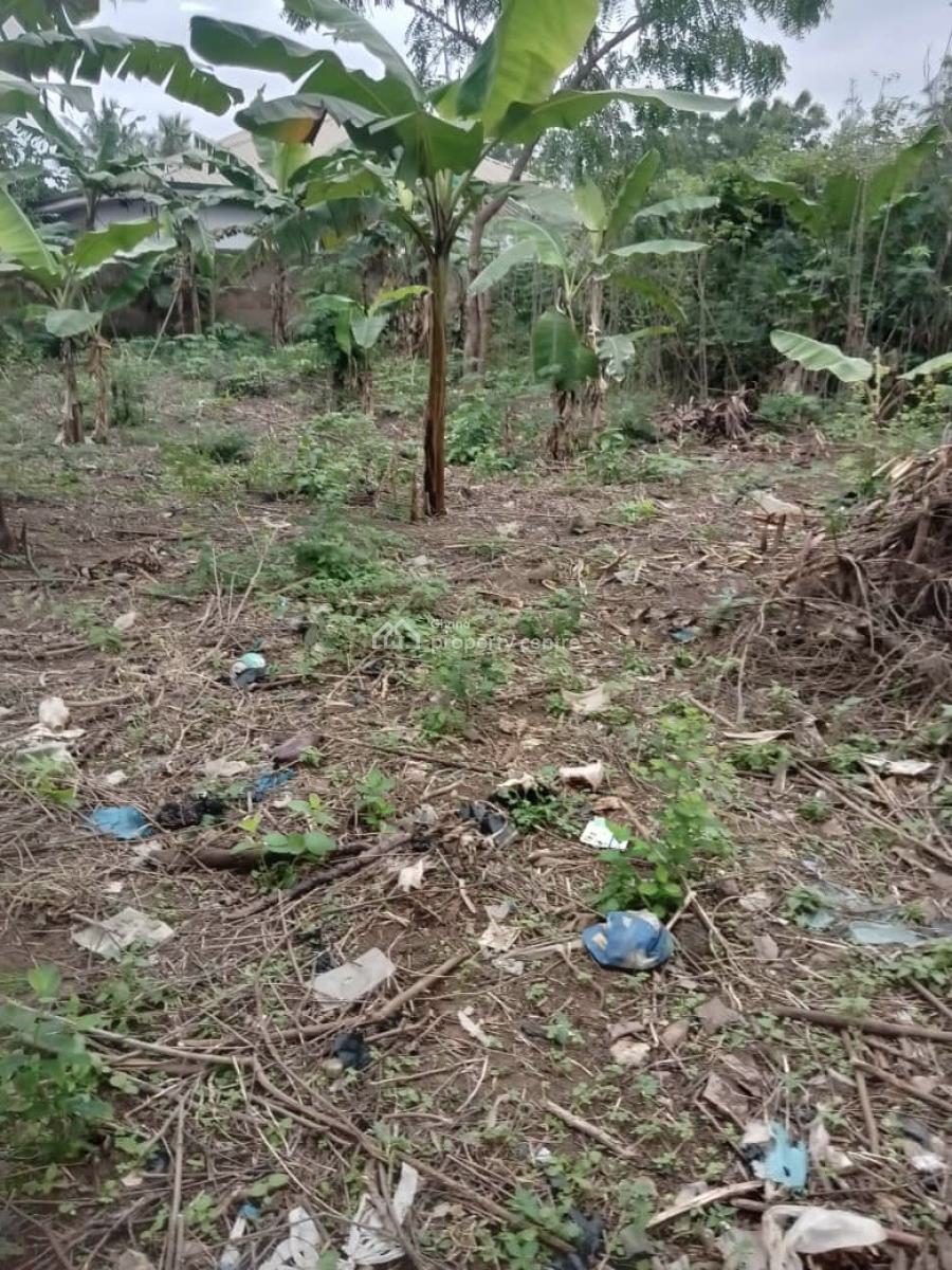 2 Plots of Land at Amasaman, Obeyeyie, Ga South Municipal, Accra, Residential Land for Sale