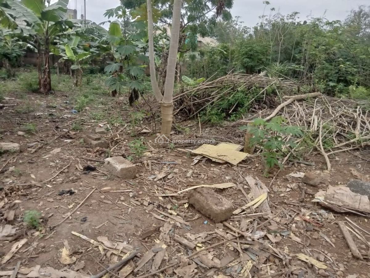 2 Plots of Land at Amasaman, Obeyeyie, Ga South Municipal, Accra, Residential Land for Sale