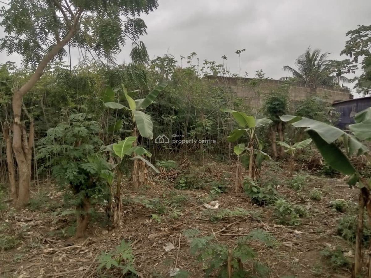 2 Plots of Land at Amasaman, Obeyeyie, Ga South Municipal, Accra, Residential Land for Sale