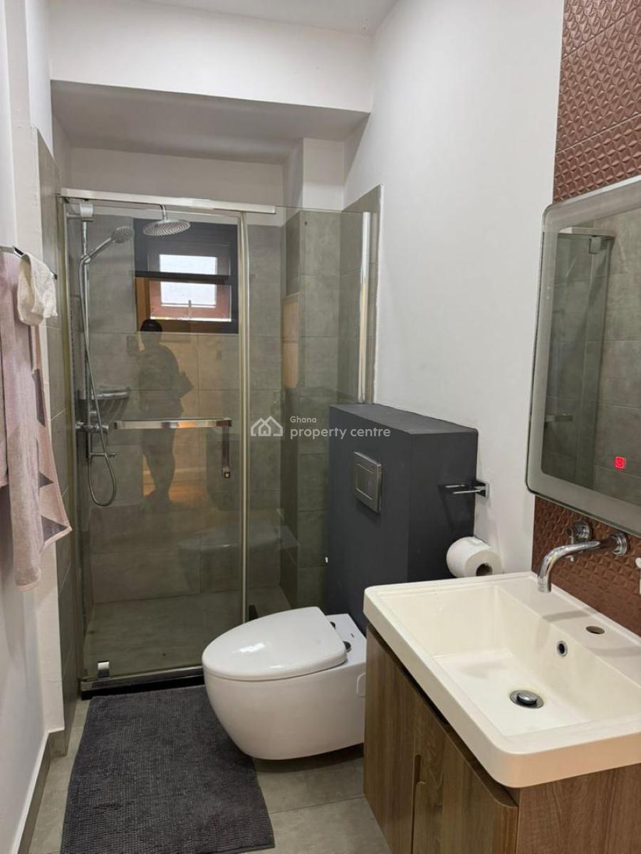 One Bedroom Furnished Apartment, East Airport, Airport Residential Area, Accra, Mini Flat for Rent