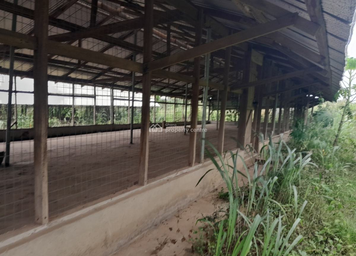 Poultry Farm & Pig, Goat, Cattle Farm, Atia,near Ejisu, Boankra., Ejisu-juaben Municipal, Ashanti, Commercial Property for Sale