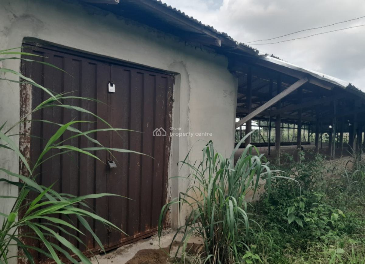 Poultry Farm & Pig, Goat, Cattle Farm, Atia,near Ejisu, Boankra., Ejisu-juaben Municipal, Ashanti, Commercial Property for Sale