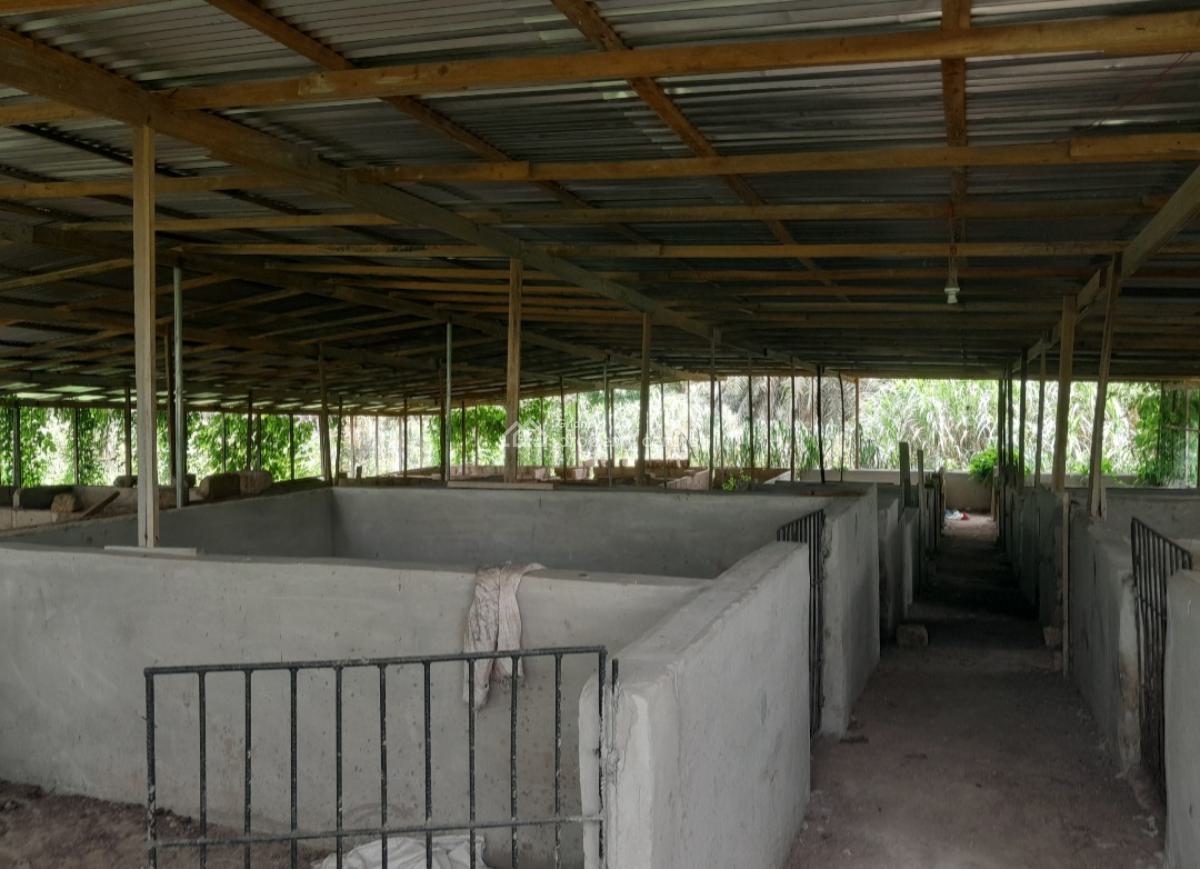Poultry Farm & Pig, Goat, Cattle Farm, Atia,near Ejisu, Boankra., Ejisu-juaben Municipal, Ashanti, Commercial Property for Sale