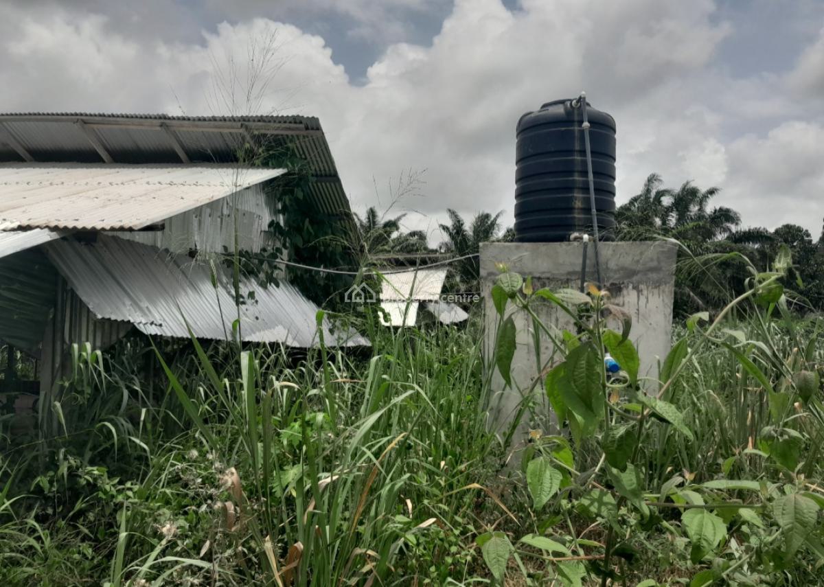 Poultry Farm & Pig, Goat, Cattle Farm, Atia,near Ejisu, Boankra., Ejisu-juaben Municipal, Ashanti, Commercial Property for Sale