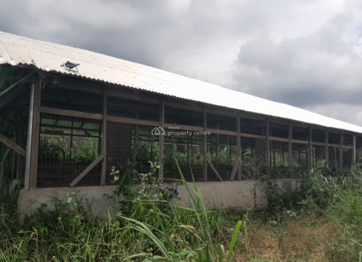 Poultry Farm & Pig, Goat, Cattle Farm, Atia,near Ejisu, Boankra., Ejisu-juaben Municipal, Ashanti, Commercial Property for Sale