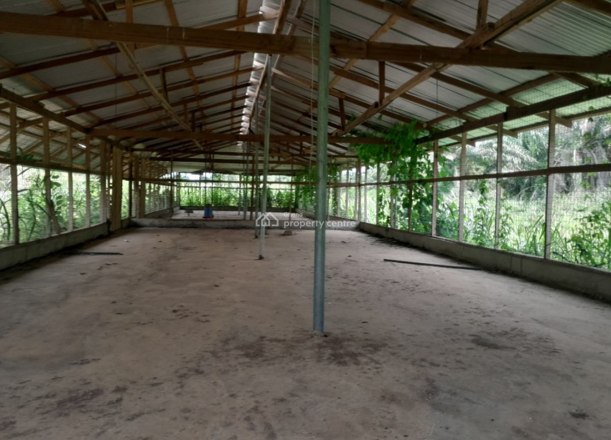 Poultry Farm & Pig, Goat, Cattle Farm, Atia,near Ejisu, Boankra., Ejisu-juaben Municipal, Ashanti, Commercial Property for Sale