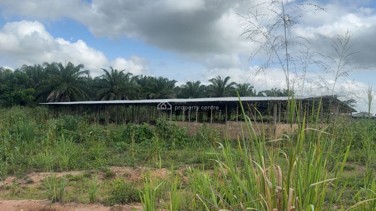 Poultry Farm & Pig, Goat, Cattle Farm, Atia,near Ejisu, Boankra., Ejisu-juaben Municipal, Ashanti, Commercial Property for Sale
