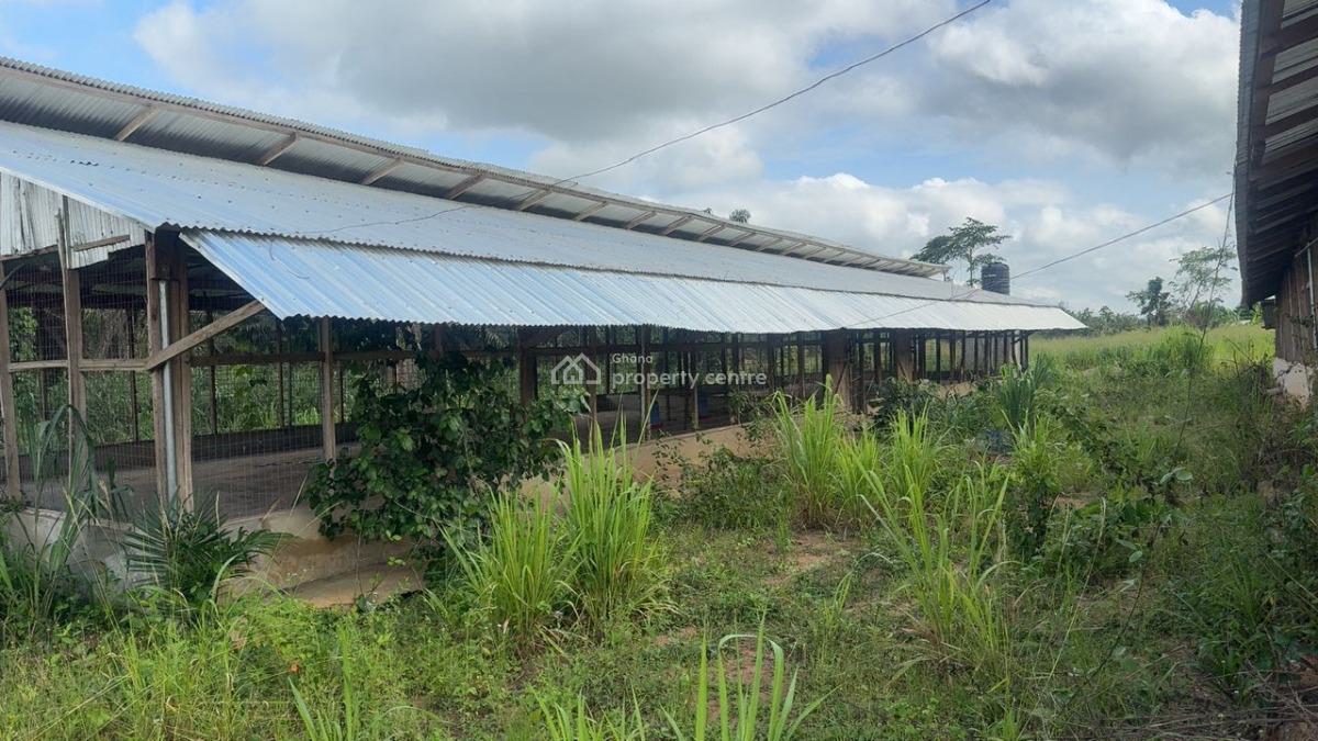 Poultry Farm & Pig, Goat, Cattle Farm, Atia,near Ejisu, Boankra., Ejisu-juaben Municipal, Ashanti, Commercial Property for Sale