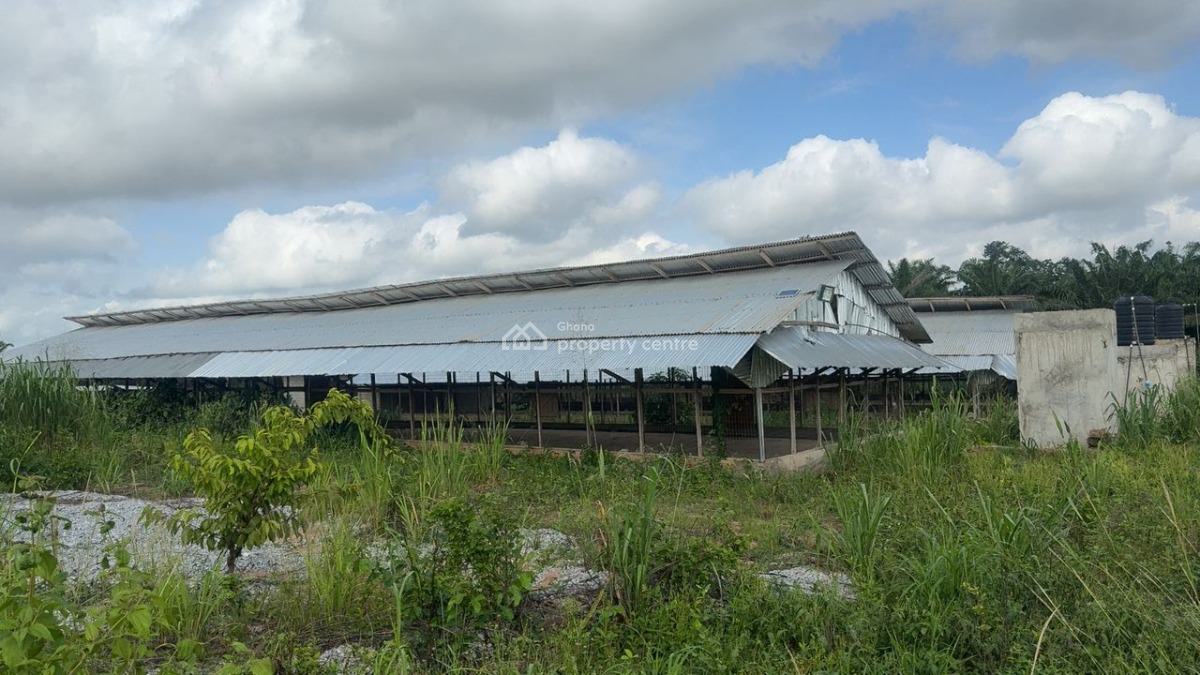 Poultry Farm & Pig, Goat, Cattle Farm, Atia,near Ejisu, Boankra., Ejisu-juaben Municipal, Ashanti, Commercial Property for Sale