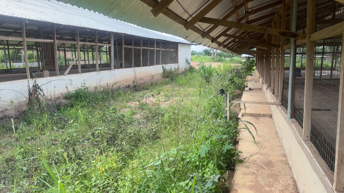Poultry Farm & Pig, Goat, Cattle Farm, Atia,near Ejisu, Boankra., Ejisu-juaben Municipal, Ashanti, Commercial Property for Sale